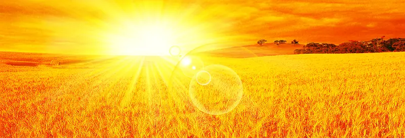 ����ʱ�б���-������