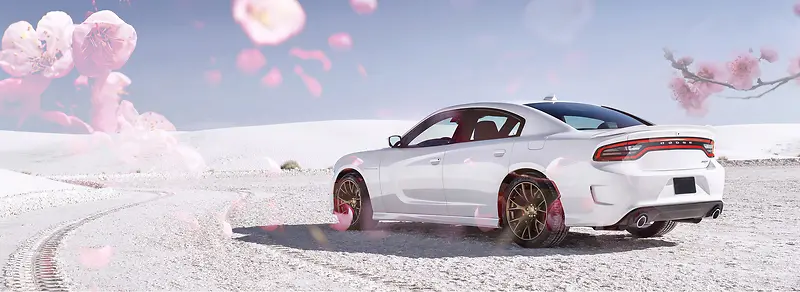 ����ʱ�б���-������