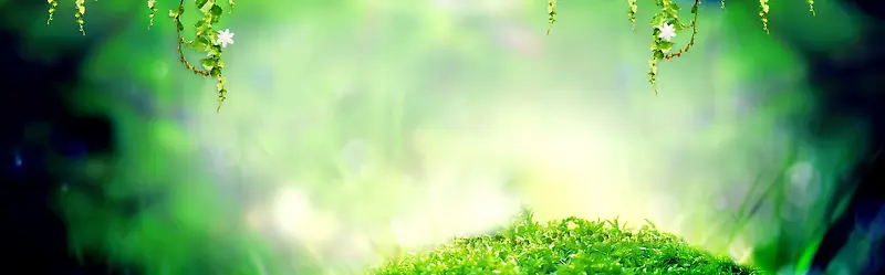 ����ʱ�б���-������