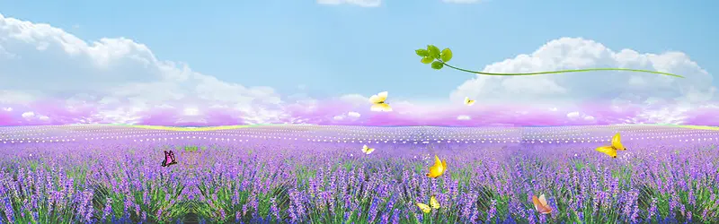 ����ʱ�б���-������