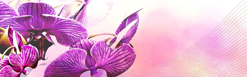 ����ʱ�б���-������