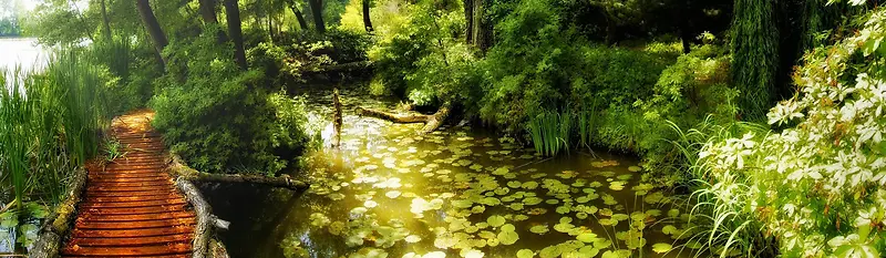 ����ʱ�б���-������