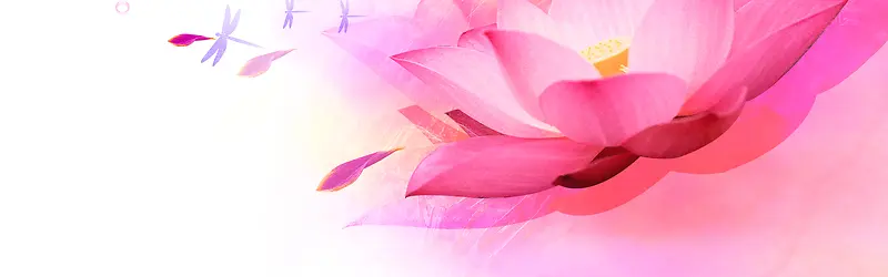 ����ʱ�б���-������