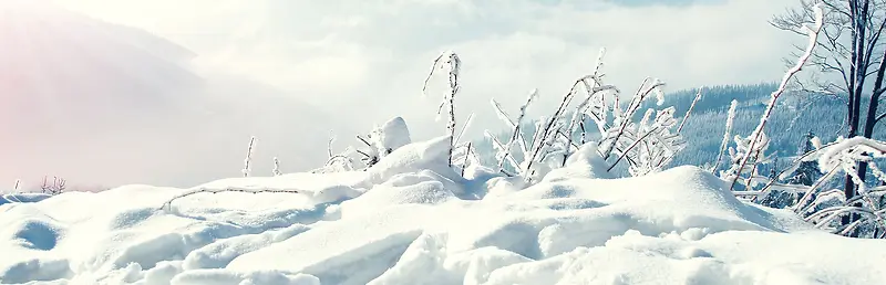 ����ʱ�б���-������