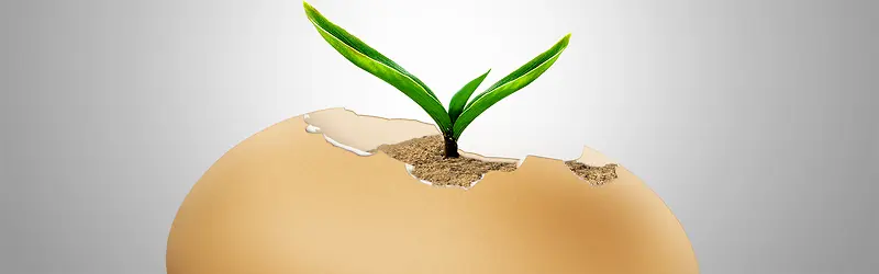 ����ʱ�б���-������