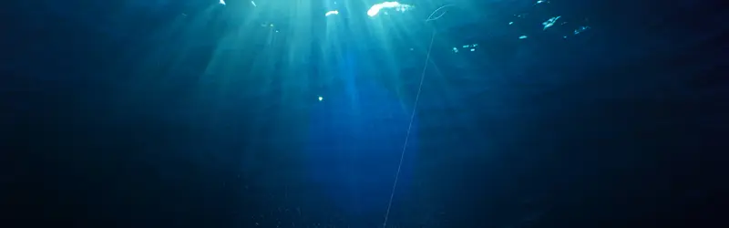 ����ʱ�б���-������