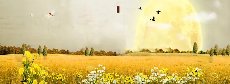 ����ʱ�б���-������