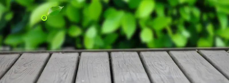 ����ʱ�б���ͼ-������