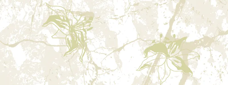 ����ʱ�б���-������