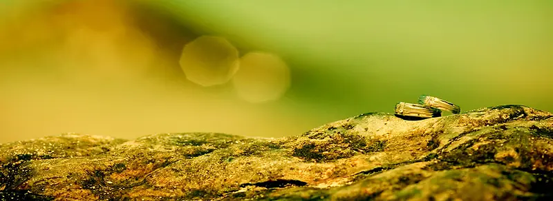 ����ʱ�б���-������