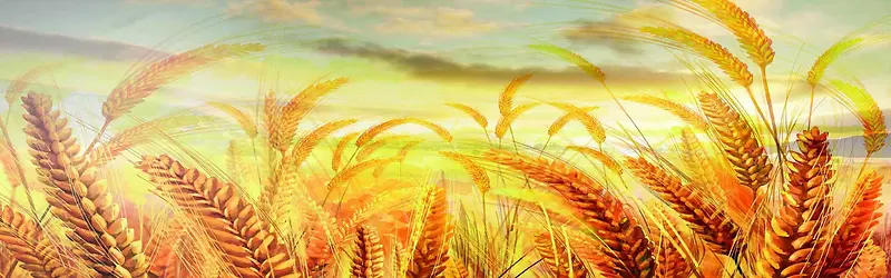 ����ʱ�б���-������