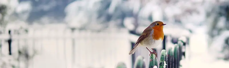 ����ʱ�б���-������