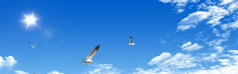 ����ʱ�б���-������