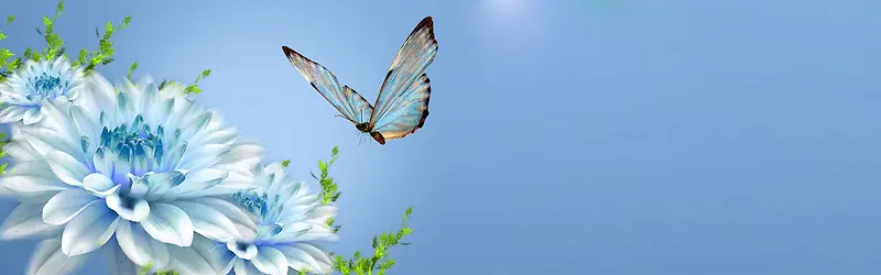 ����ʱ�б���-������