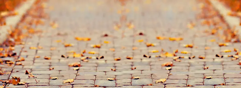 ����ʱ�б���ͼ-������