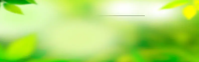 ����ʱ�б���-������