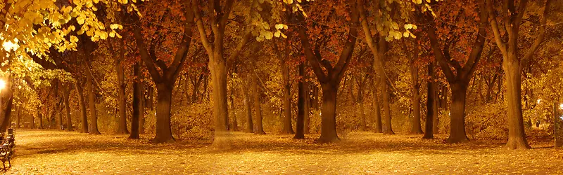 ����ʱ�б���-������