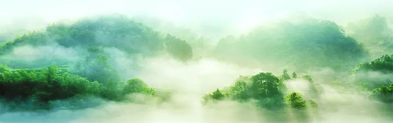 ����ʱ�б���-������