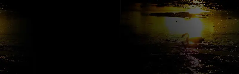 ����ʱ�б���-������