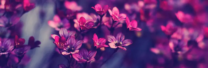 ����ʱ�б���-������