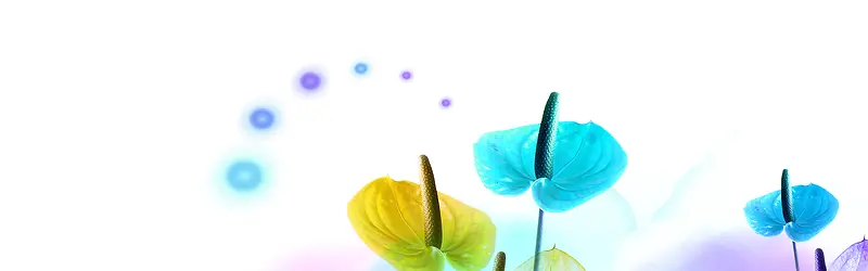 ����ʱ�б���-������