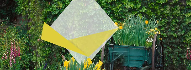 ����ʱ�б���-������