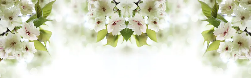 ����ʱ�б���-������