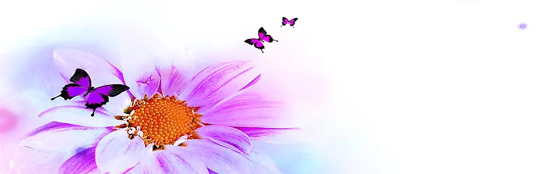 ����ʱ�б���-������