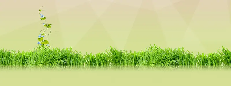 ����ʱ�к�����������-������