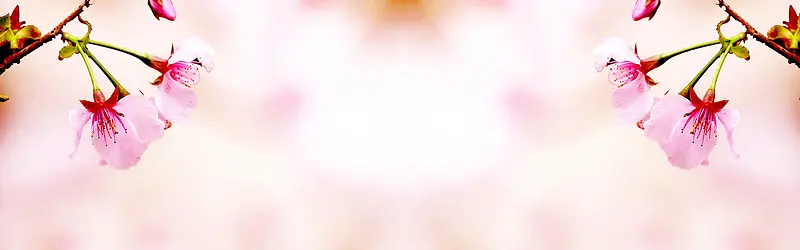 ����ʱ�б���-������