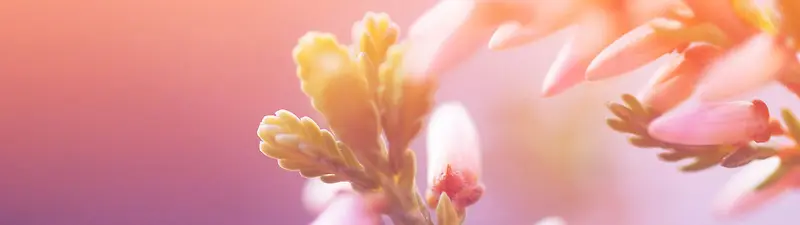 ����ʱ�б���-������