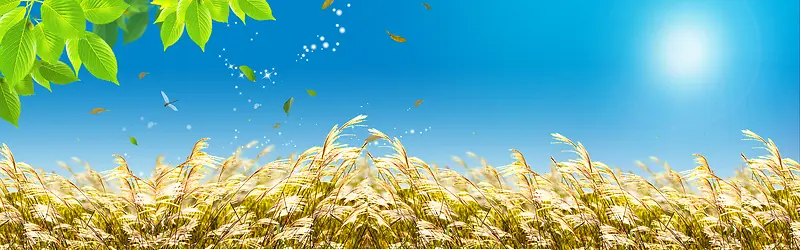 ����ʱ�б���-������