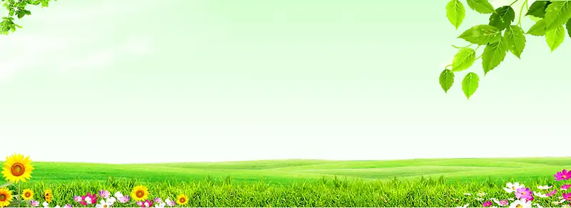 ����ʱ�б���-������