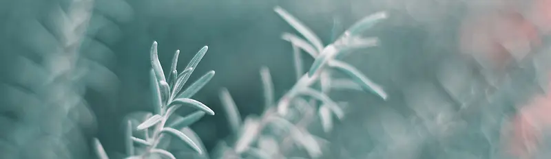 ����ʱ�б���-������