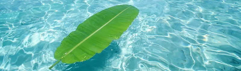 ����ʱ�б���-������