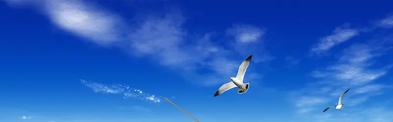 ʱ������Ƽ�����-������