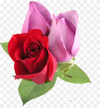 ʱ�д���ʢ��õ��-������