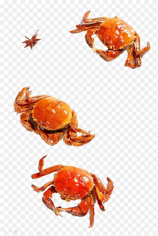 Ϻзװ������ز�-������