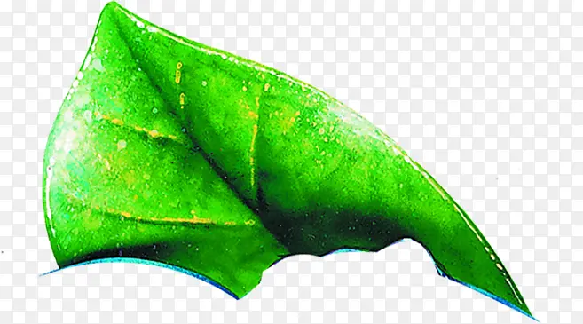 ��ɫҶ�Ӳ廭����-������