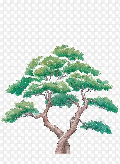 ��ѩ����ɫ����廭-������