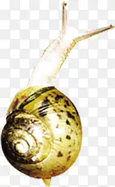 ��Ӱ�ڲݵ������е���ţ-������