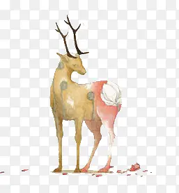 ��ͨ���˵���¹�ֻ�-������