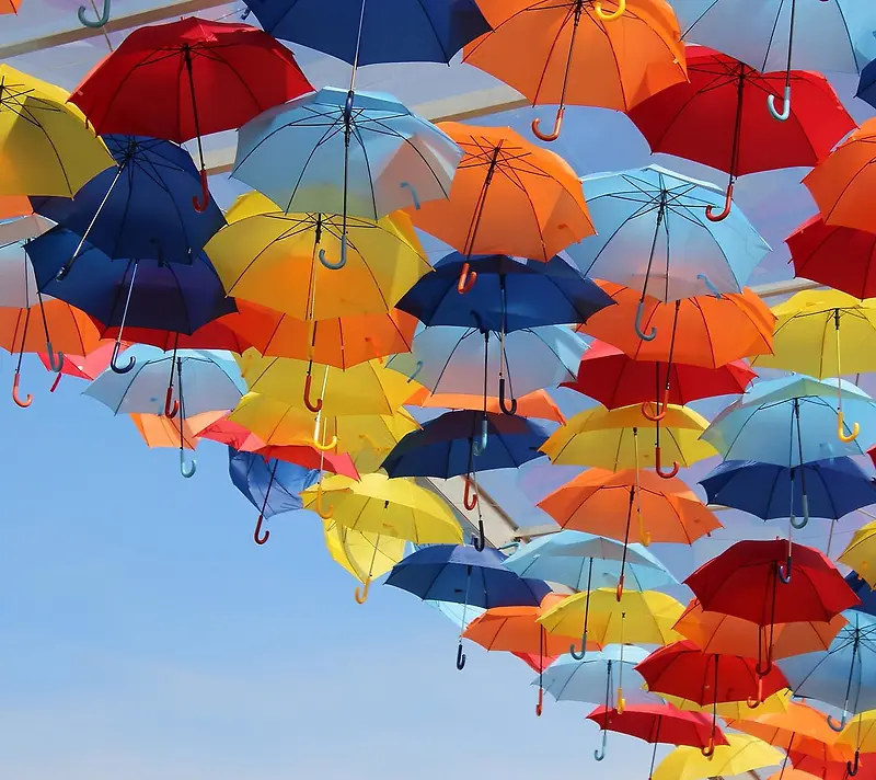 ��ɫ͸��ɡ�����-������