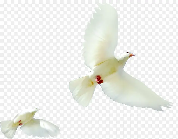 ������Ӱ������Ÿͼ-������