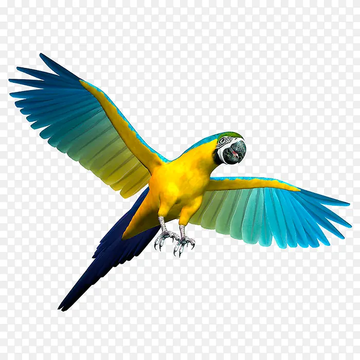 ��ɫ����-������