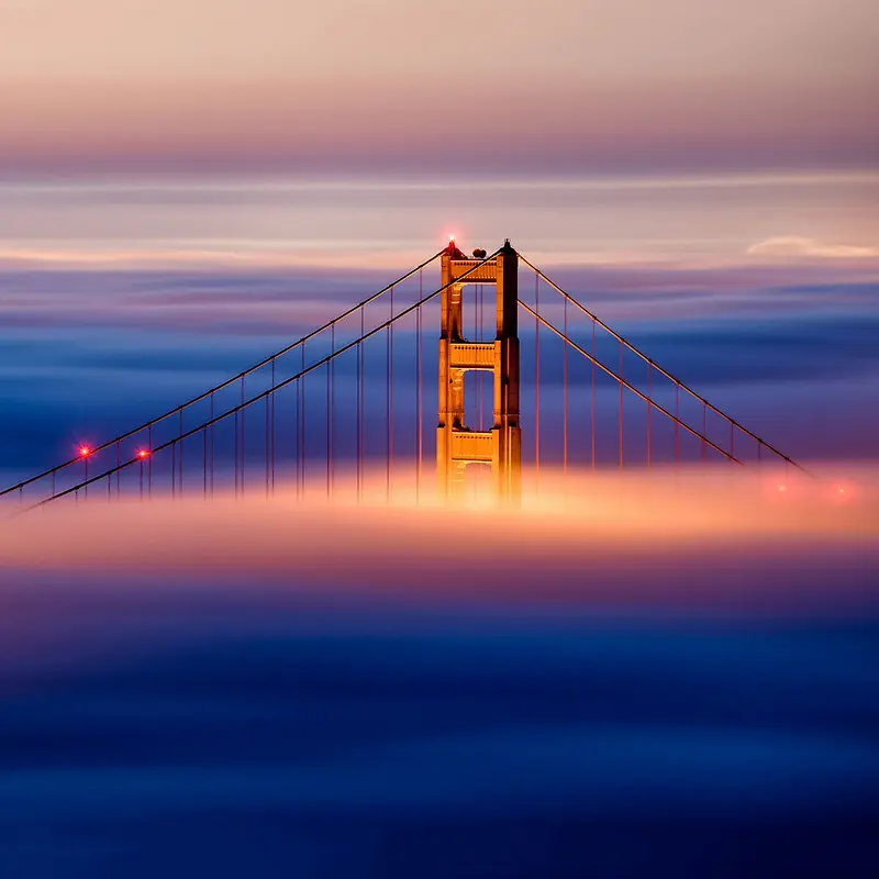 ����Ψ����ͼ��Ӱ-������