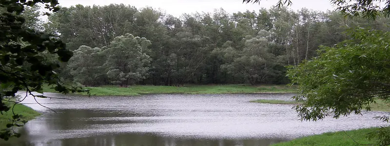 ��Ӱ����ͼ-������