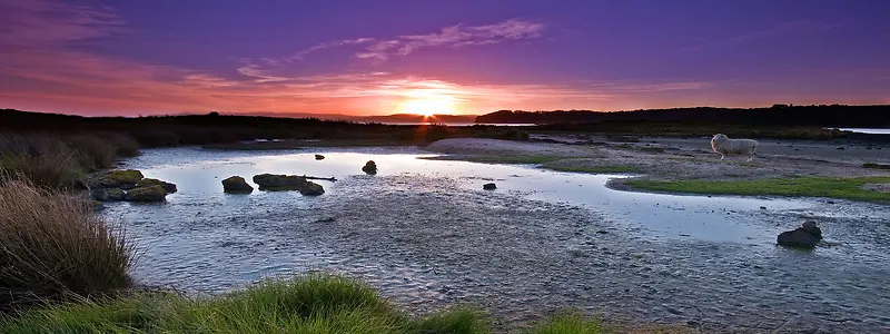 ��Ӱ����ͼ-������