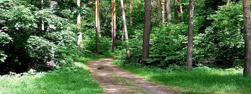 ��Ӱ����ͼ-������