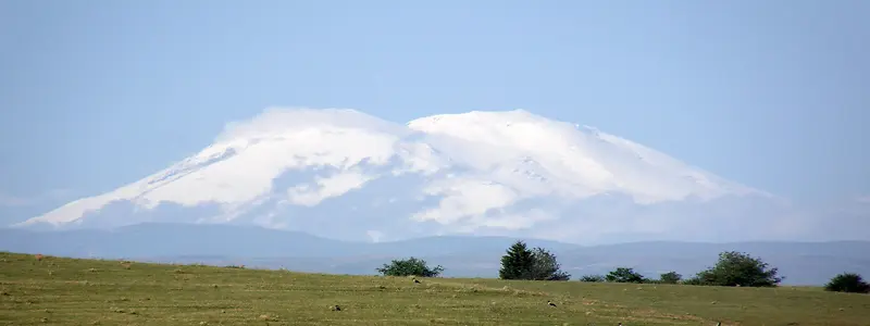 ��Ӱ����ͼ-������